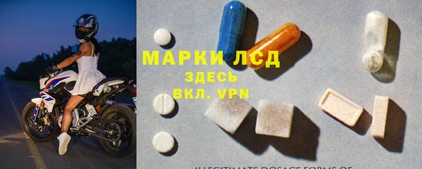 PSILOCYBIN Инта