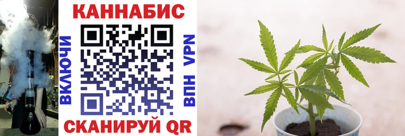 МАРИХУАНА THC 21%  Купить закладки  Инта 